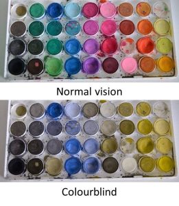 color blindness