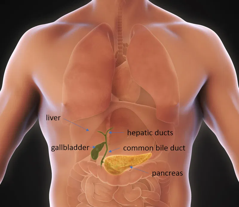 Cholecystectomy (Resection Of Gallbladder)