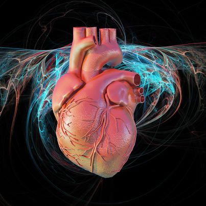 cardiac ablation