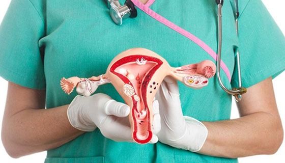 Hysterectomy (Uterus Removal)