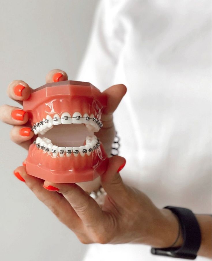 tooth model