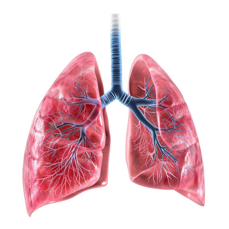 Vats Wedge Resection Lung Biopsy