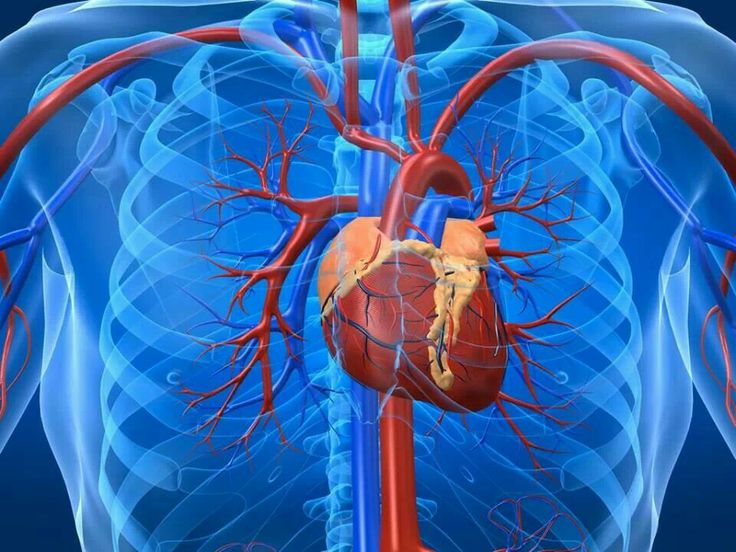 Coronary Angiography