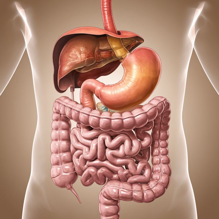 Small Intestine Resection