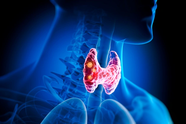 Thyroid Function Tests (İncluding T3, T4, TSH)