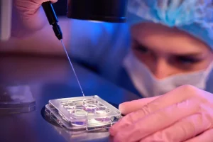 Blastocyst Culture and Transfer in Turkey