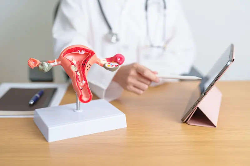 Doctor Consultation before Myomectomy in Turkey