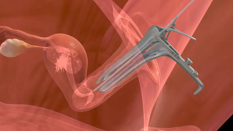 Embryo Transfer Process