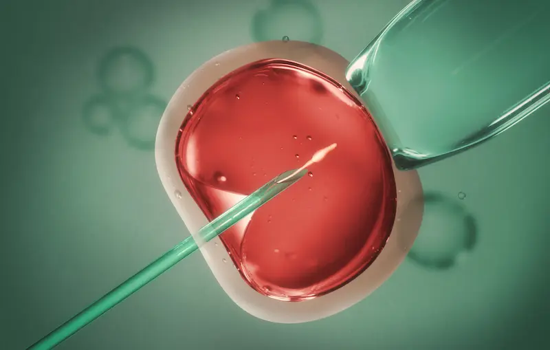 In Vitro Fertilization Cost