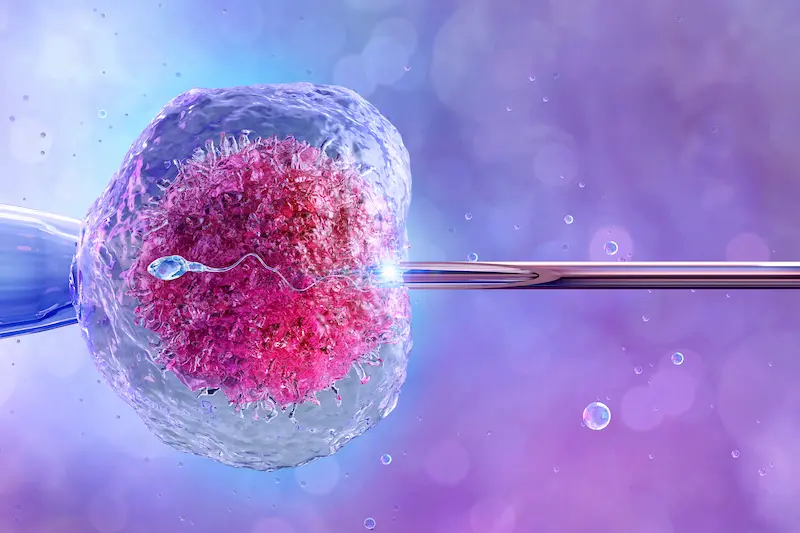 أطفال الأنابيب (IVF)
