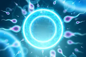 Infertility Treatment in Turkey