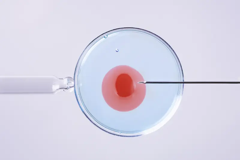 Signs of Infertility