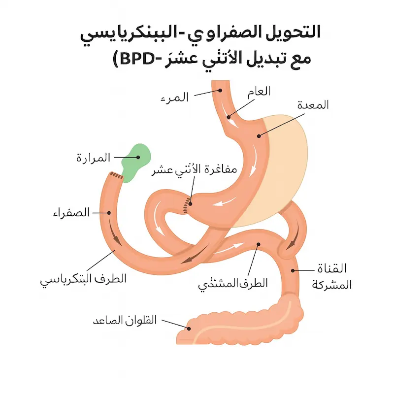 تبديل الاثني عشر في تركيا