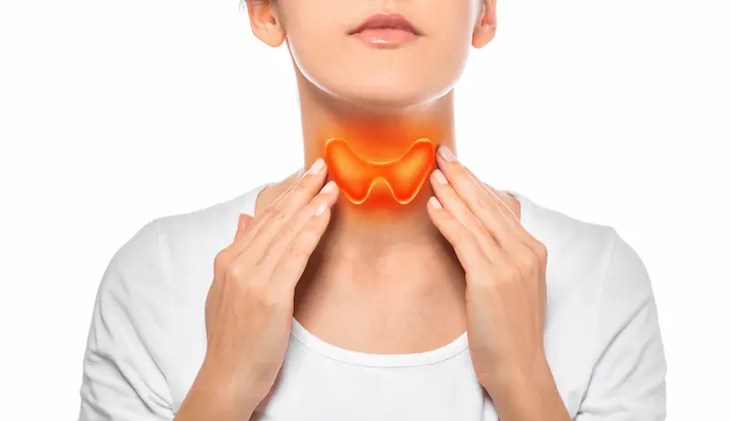 Thyroid gland
