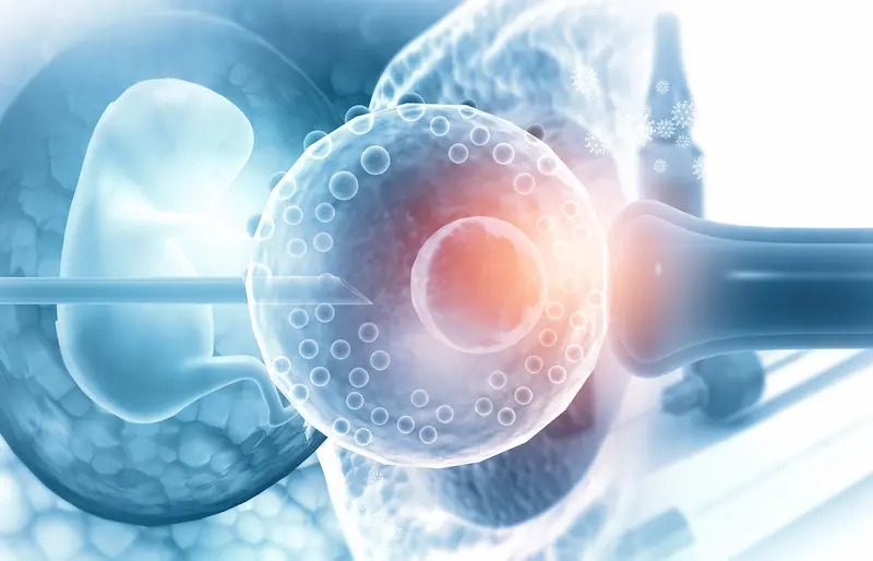 What is an Embryo Transfer?