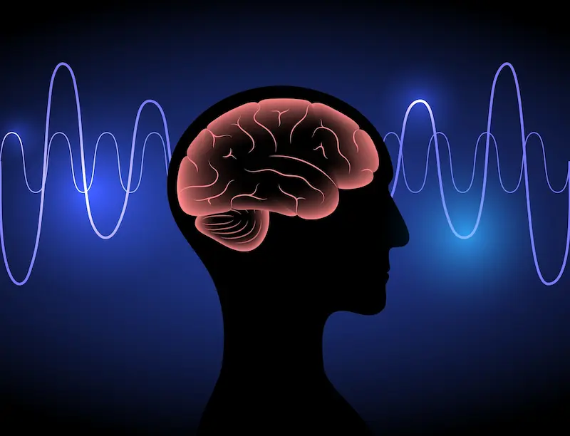 EEG in Turkey