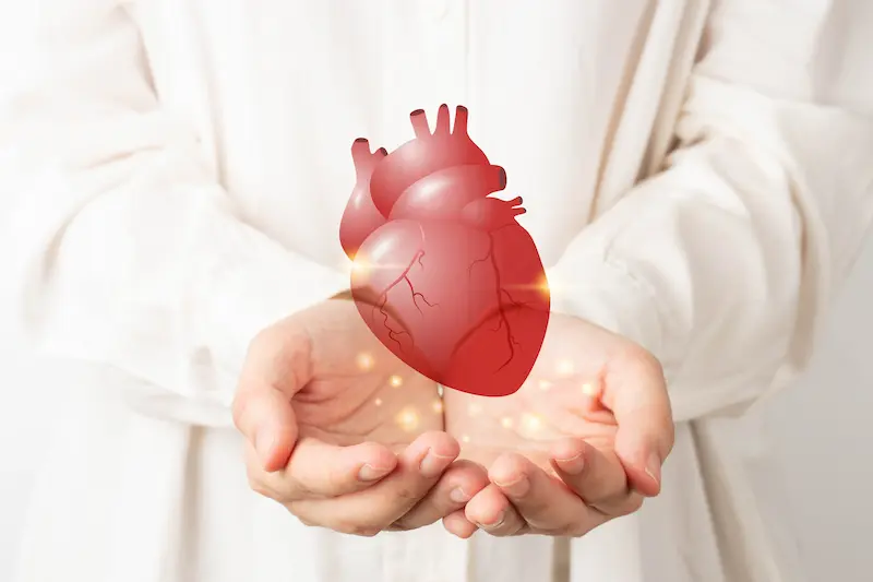 Heart Transplant in Turkey