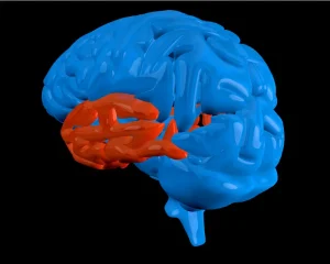 Video EEG Monitoring in Turkey