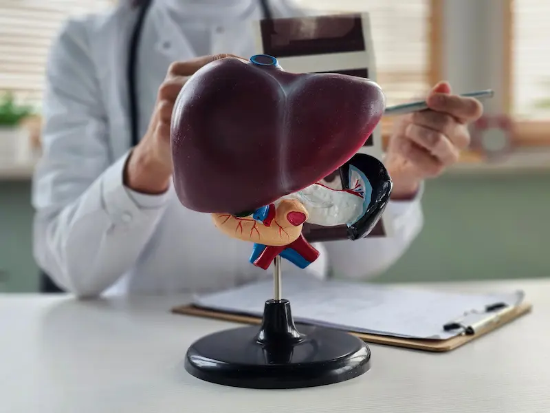 Liver Cancer Symptoms
