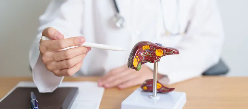Doctor Consultation Before Liver Transplant in Turkey