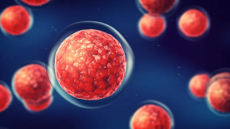 Bone Marrow Transplant in Turkey