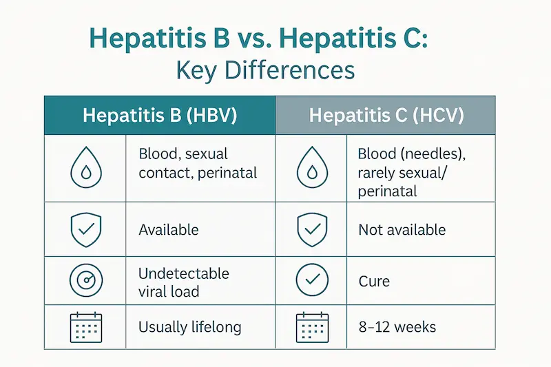 HBV vs HCV