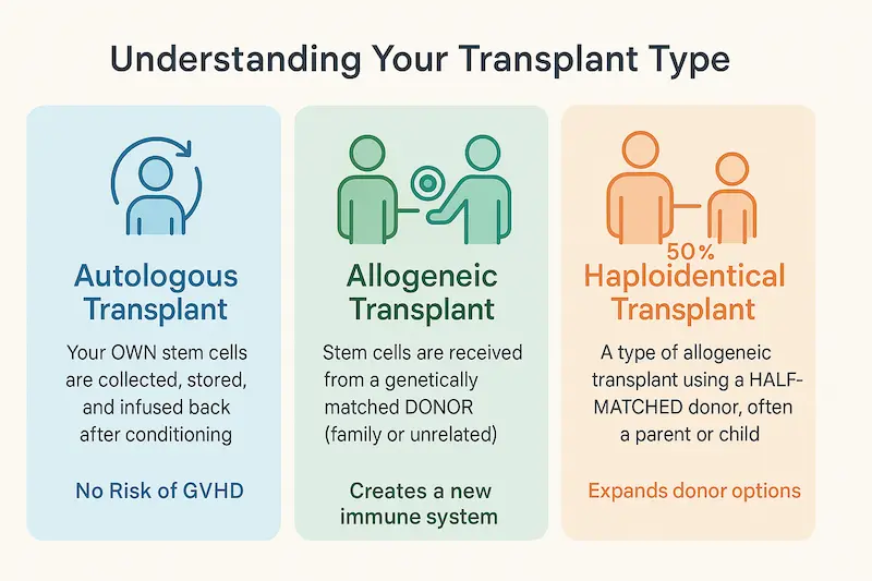Understanding Bone Marrow Transplant Type