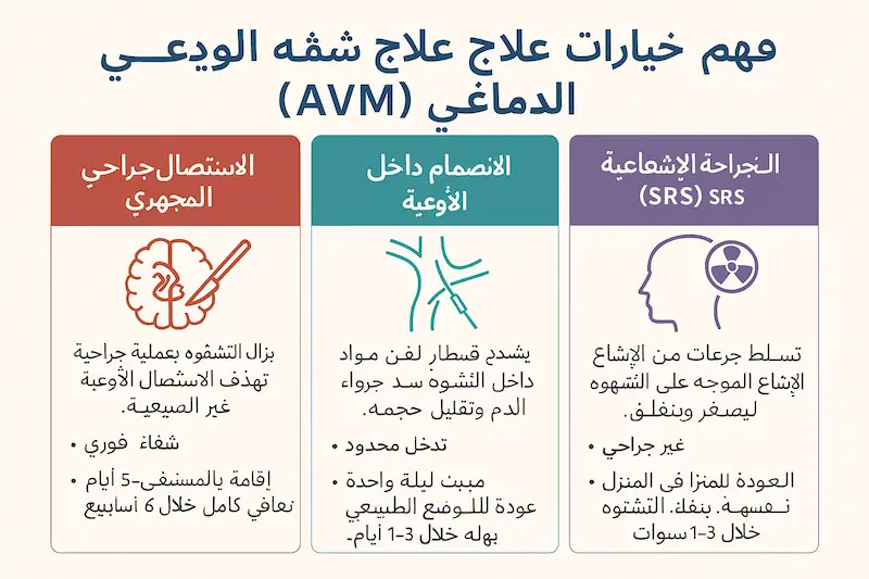 خيارات العلاج الرئيسية لتشوهات الشرايين والأوردة الدماغية