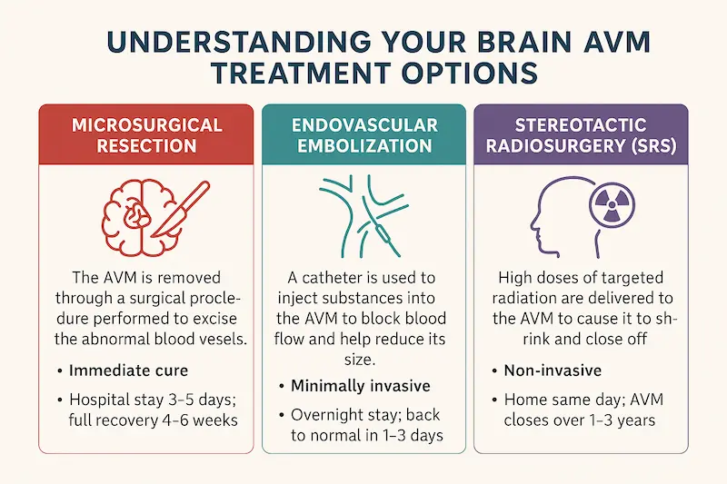 Main Treatment Options for Brain Arteriovenous Malformation.
