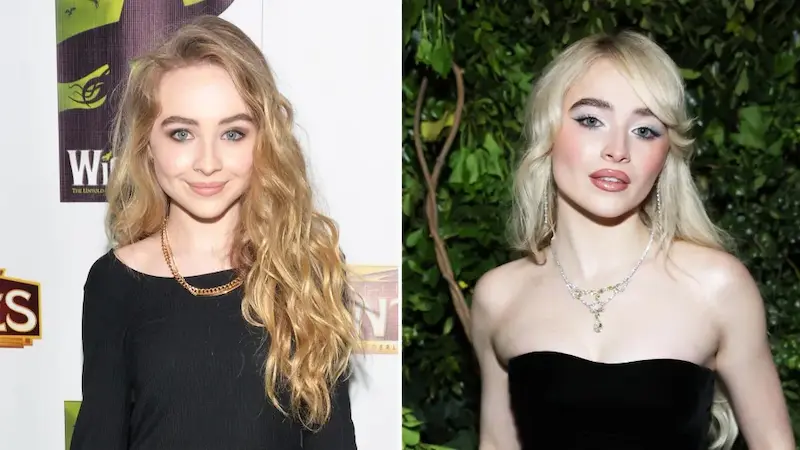 Sabrina Carpenter Aesthetic
