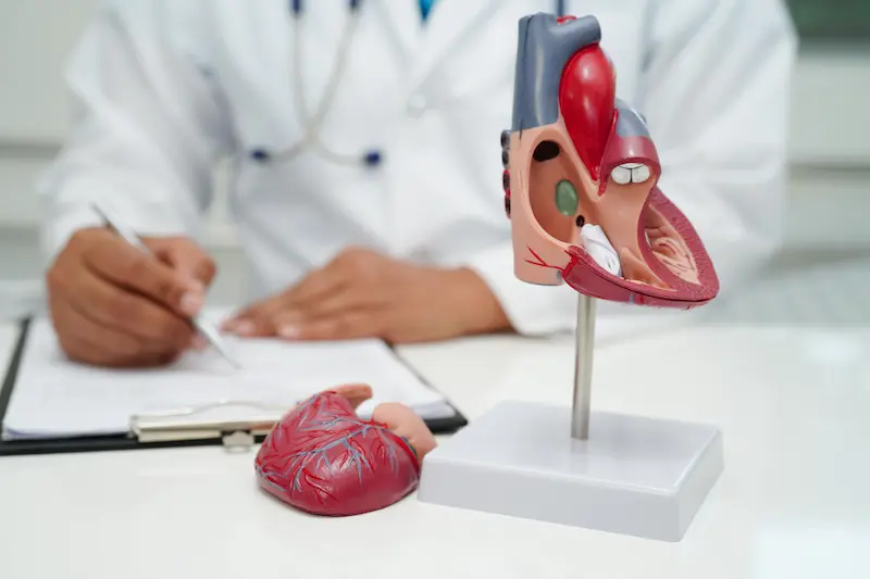 All Inclusive Heart Check Up Package