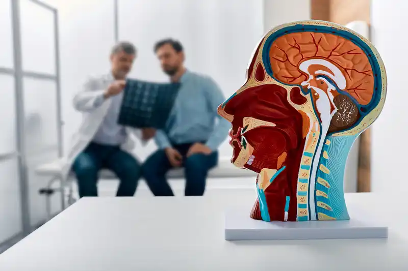 Brain Tumor Surgery Recovery Timeline