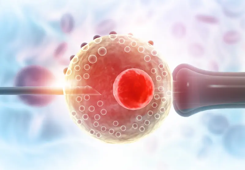 IVF success rates in Turkey